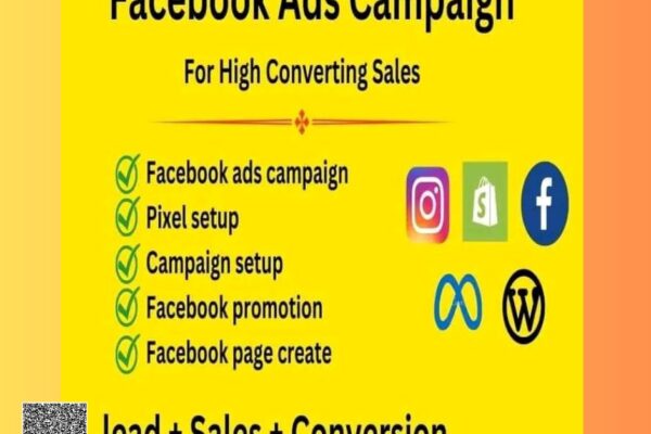 I will setup facebook ads campaign for leads and sales